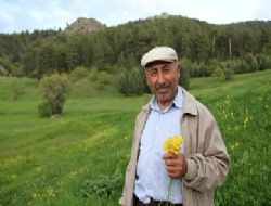 Çoreker Yaylası turist bekliyor